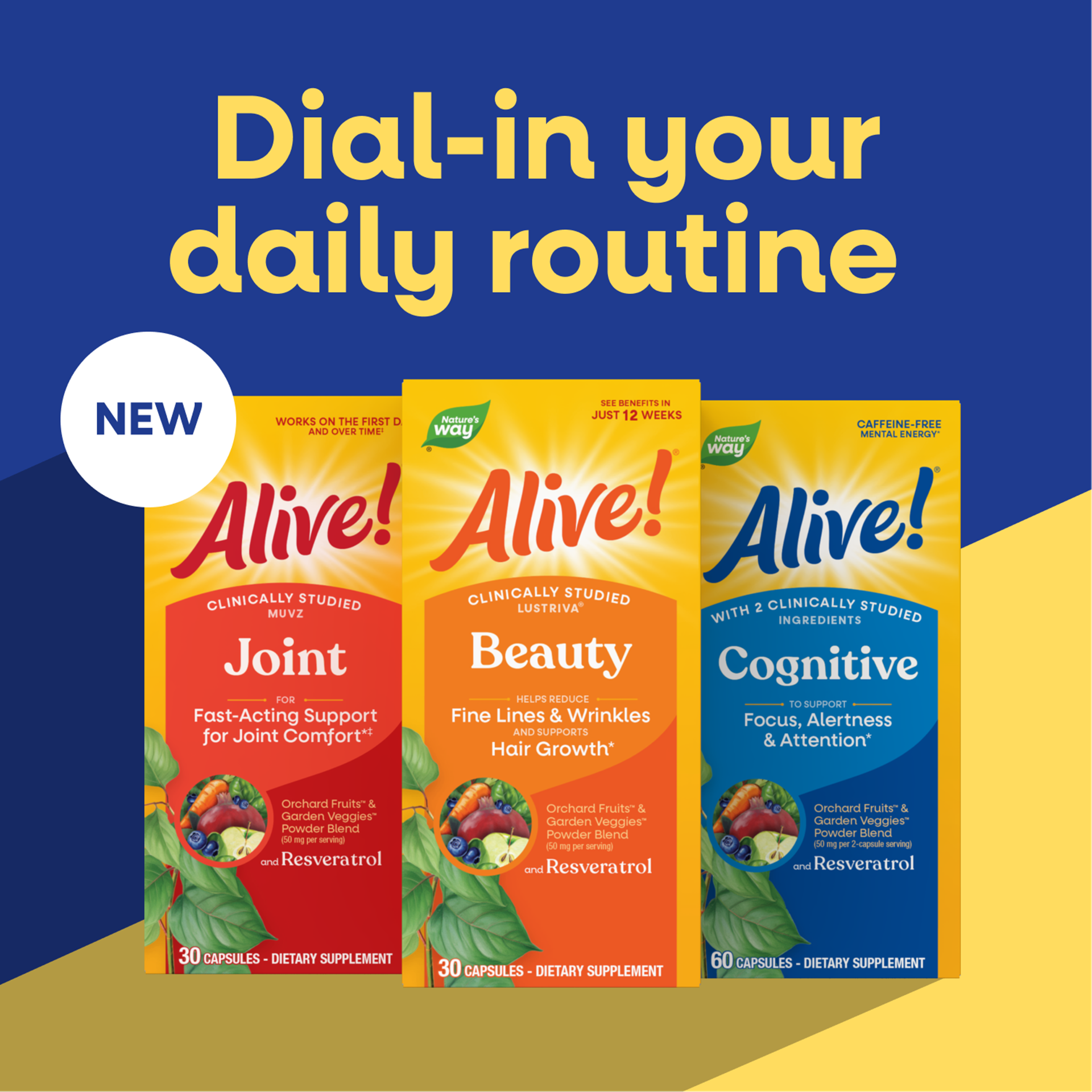 Nature’s Way | Inspired by the Power of Nature – 55+ Years Trusted Herbal Wellness Supplements