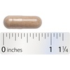 image:imageNatures Way 5Mushroom Blend Includes Lions Mane Shiitake Reishi Maitake and Chaga Traditional Mushroom Supplement 1000 mg per 2Capsule Serving Vegan 60 Capsules