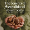 image:imageNatures Way 5Mushroom Blend Includes Lions Mane Shiitake Reishi Maitake and Chaga Traditional Mushroom Supplement 1000 mg per 2Capsule Serving Vegan 60 Capsules