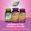 image:imageNatures Way Alive Gummy Prenatal Vitamins Prenatal Multivitamin Supplement with PlantBased DHA for Brain amp Eye Development Vegetarian Orange Raspberry Lemonade Flavored 90 Gummies