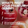 image:imageNatures Way Alive Premium Hair Skin amp Nails Gummies with Collagen and Biotin Advanced Beauty Formula Supplement with High Potency Antioxidant Vitamins C amp E Strawberry Flavored 60 Gummies