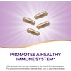 image:imageNatures Way Alive Vitamin C Supplement Made with Organic Acerola Cherries Immune Support Antioxidant Support 100 Fruit Source Vitamin C 120 Capsules Packaging May Vary