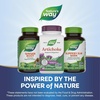 image:imageNatures Way Artichoke Digestion Support NonGMO Project Verified Vegan GlutenFree 60 Capsules Packaging May Vary60 Count Pack of 1