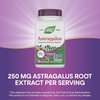 image:imageNatures Way Astragalus Premium Extract Supports Immune Health 250 mg Extract per Serving NonGMO Project Verified 60 Vegan Capsules Packaging May Vary