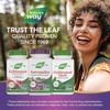 image:imageNatures Way Astragalus Premium Extract Supports Immune Health 250 mg Extract per Serving NonGMO Project Verified 60 Vegan Capsules Packaging May Vary
