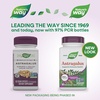image:imageNatures Way Astragalus Premium Extract Supports Immune Health 250 mg Extract per Serving NonGMO Project Verified 60 Vegan Capsules Packaging May Vary
