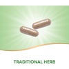 image:imageNatures Way Butchers Broom Traditional Herb 720 mg per 2Capsule Serving NonGMO Project Verified 100 Vegan Capsules Packaging May Vary100 Count Pack of 1
