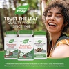 image:imageNatures Way Butchers Broom Traditional Herb 720 mg per 2Capsule Serving NonGMO Project Verified 100 Vegan Capsules Packaging May Vary100 Count Pack of 1