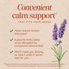 image:imageNatures Way CalmAid Lavender Oil Supplement for Calm amp Stress Support Clinically Studied Silexan Lavender Oil NonDrowsy Daily Softgels 30 Count90 Count Pack of 1