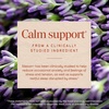 image:imageNatures Way CalmAid Lavender Oil Supplement for Calm amp Stress Support Clinically Studied Silexan Lavender Oil NonDrowsy Daily Softgels 30 Count90 Count Pack of 1