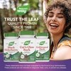 image:imageNatures Way Cats Claw Bark Traditional Health Support 1455 mg per 3Capsule Serving NonGMO Project Verified 100 Vegan Capsules Packaging May Vary