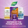 image:imageNatures Way Cell Fort IP6 amp Inositol Immune Support Supplement with Calcium Phosphorus and Magnesium GlutenFree Vegan 240 Capsules Packaging May Vary240 Count Pack of 1