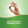 image:imageNatures Way Chlorofresh Chlorophyll Gummies Supports Healthy Skin and Body Detox Internal Deodorant Orchard Fruit Flavored 60 Gummies60 Count Pack of 2