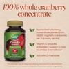 image:imageNatures Way CranRx Cranberry Gummies Urinary Tract Health and Antioxidant Support with Vitamin C DMannose Bioactive Cranberry Fruit Dietary Supplement Berry Flavor 60 Gummies Set of 350 Count Pack of 1