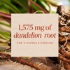 image:imageNatures Way Dandelion Root Capsules Traditional Diuretic Herb 1575 mg Dandelion Root per 3Capsule Serving Vegan Dandelion Root Supplement NonGMO Project Verified 100 Capsules180 Count Pack of 1