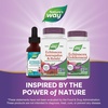 image:imageNatures Way Echinacea Astragalus amp Reishi Premium Blend Supports Immune Health 1200 mg per 3Capsule Serving NonGMO Project Verified 100 Vegan Capsules Packaging May Vary1