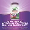 image:imageNatures Way Echinacea Astragalus amp Reishi Premium Blend Supports Immune Health 1200 mg per 3Capsule Serving NonGMO Project Verified 100 Vegan Capsules Packaging May Vary1