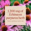 image:imageNatures Way Echinacea Purpurea Herb Traditional Herbal Supplement for Immune Health Support Echinacea Capsules with 1200 mg per 3Capsule Serving NonGMO Project Verified 180 Capsules100 Count Pack of 1