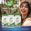 image:imageNatures Way Fennel Seed Traditional Digestive Support 480 mg per Serving Gluten Free amp Vegan NonGMO Project Verified 100 Capsules Packaging May Vary