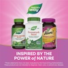 image:imageNatures Way Fenugreek Seed Supplement Traditional Breast Milk Production and Breastfeeding Lactation Support Traditionally Used to Soothe Digestion NonGMO Project Verified Vegan 320 Capsules320 Count Pack of 2
