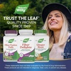 image:imageNatures Way Fiber Delights Supports Digestive Regularity 4 Grams per 2Tablet Serving with Oat Hull amp Prebiotic Blend Vanilla Flavored 60 Chewable Tablets Packaging May Vary1