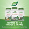 image:imageNatures Way Garlic Bulb Supports Heart Health NonGMO Project Verified 580 mg per Serving Vegan 100 Capsules Packaging May Vary100 Count Pack of 1