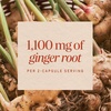 image:imageNatures Way Ginger Root Capsules 1100 mg per 2Capsule Serving Ginger Supplement for Digestive Comfort and MotionRelated Nausea Support Vegan NonGMO Project Verified 240 Count100 Count Pack of 1