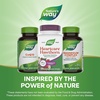 image:imageNatures Way HeartCare Hawthorn Standardized Extract Promotes Healthy Heart Function Gluten Free 120 Tablets Packaging May Vary
