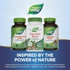 image:imageNatures Way Licorice Root Traditional Digestive Support Supplement 900 mg per 2Capsule Serving NonGMO Project Verified 100 Vegan Capsules Packaging May Vary100 Count Pack of 2