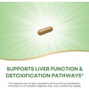 image:imageNatures Way Milk Thistle Supports Liver Function amp Detox Pathways 175 mg Milk Thistle Seed Extract Standardized to 80 Silymarin per Serving Vegan 120 Capsules Packaging May Vary5460 Count Pack of 1
