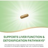image:imageNatures Way Milk Thistle Supports Liver Function amp Detox Pathways 175 mg Milk Thistle Seed Extract Standardized to 80 Silymarin per Serving Vegan 120 Capsules Packaging May Vary54120 Count Pack of 1