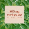 image:imageNatures Way Moringa Leaf Capsules Moringa oleifera Traditional Superfood Antioxidant Pathway Support 800 mg per 2Capsule Serving Gluten Free Vegan 120 Capsules