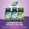 image:imageNatures Way Olive Leaf Premium Extract Supports Heart Health 20 Oleuropein 250 mg per Serving NonGMO Project Verified 60 Vegan Capsules Packaging May Vary