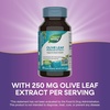 image:imageNatures Way Olive Leaf Premium Extract Supports Heart Health 20 Oleuropein 250 mg per Serving NonGMO Project Verified 60 Vegan Capsules Packaging May Vary