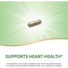 image:imageNatures Way Olive Leaf Standardized Extract Supplement Supports Heart Health 250 mg Per Serving Gluten Free Vegan 60 Capsules Packaging May Vary