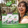 image:imageNatures Way Olive Leaf Standardized Extract Supplement Supports Heart Health 250 mg Per Serving Gluten Free Vegan 60 Capsules Packaging May Vary