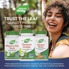 image:imageNatures Way Oregon Grape Traditional Digestive Support NonGMO Project Verified 500 mg per Serving 90 Capsules Packaging May Vary