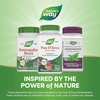 image:imageNatures Way PAU dArco Inner Bark Traditional South American Herb 2180 mg per 4Capsule Serving NonGMO Project Verified 180 Capsules Packaging May VaryUnflavoured