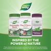 image:imageNatures Way PAU dArco Inner Bark Traditional South American Herb 2180 mg per 4Capsule Serving NonGMO Project Verified 180 Capsules Packaging May VaryUnflavoured