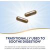 image:imageNatures Way Peppermint Leaf Traditionally Used to Soothe Digestion 700 mg per 2Capsule Serving Peppermint Supplement NonGMO Project Verified 100 Vegan Capsules Packaging May Vary100 Count Pack of 1