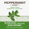 image:imageNatures Way Peppermint Leaf Traditionally Used to Soothe Digestion 700 mg per 2Capsule Serving Peppermint Supplement NonGMO Project Verified 100 Vegan Capsules Packaging May Vary100 Count Pack of 2