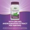 image:imageNatures Way Premium Extract Andrographis Immune Support 300 mg Andrographis Extract per Serving 60 Vegan Capsules