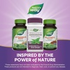 image:imageNatures Way Premium Extract Andrographis Immune Support 300 mg Andrographis Extract per Serving 60 Vegan Capsules