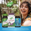 image:imageNatures Way Premium Extract Holy Basil 450 mg per Serving 60 Vcaps Packaging May Vary