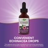 image:imageNatures Way Premium Formula EchinaceaGoldenseal 250 mg per Serving 999 AlcoholFree 101 Oz