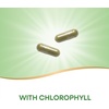 image:imageNatures Way Premium Herbal Parsley Leaf Provides Chlorophyll 100 Vegan Capsules100 Count Pack of 1