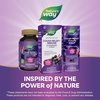 image:imageNatures Way Sambucus Cough Relief 1 Immune Syrup Feel Better Faster1 Clinically Proven South African Geranium with Elderberry Extract Vitamin C amp Zinc Vegan 4 Fl Oz Packaging May Vary4 Ounce