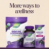 image:imageNatures Way Sambucus Elderberry  Wildflower Honey Immune Gummy Daily Immune Support with Vitamins C amp D3 Zinc for Adults and Kids Ages 4 Vegetarian 50 Gummies