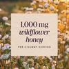 image:imageNatures Way Sambucus Elderberry  Wildflower Honey Immune Gummy Daily Immune Support with Vitamins C amp D3 Zinc for Adults and Kids Ages 4 Vegetarian 50 Gummies