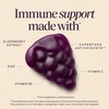 image:imageNatures Way Sambucus Elderberry Gummies Immune Support Gummy for Adults amp Kids Ages 4 with Black Elderberry Extract Vitamin C Vitamin D3 and Zinc 60 Gummies Set of 360 Count Pack of 1